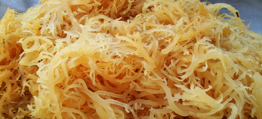 WHAT IS SEA MOSS?